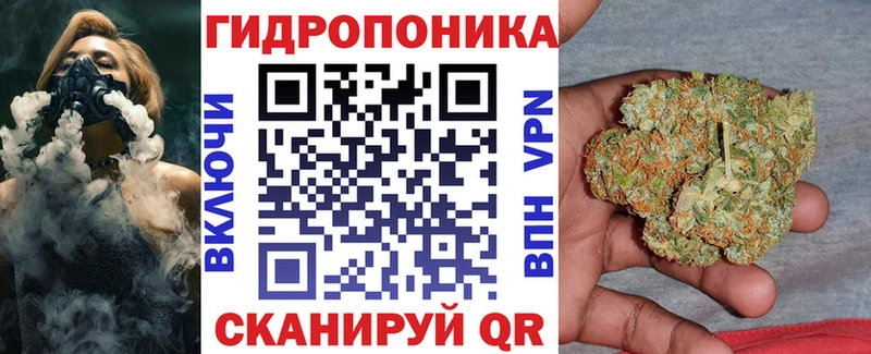 купить наркотик  OMG зеркало  Бошки марихуана MAZAR  Будённовск 